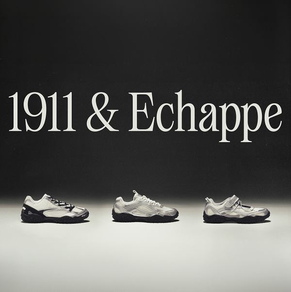 <p><strong>에샤페 실버문 컬렉션</strong></p>