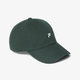 1100FS3CPH1301XDGN-01