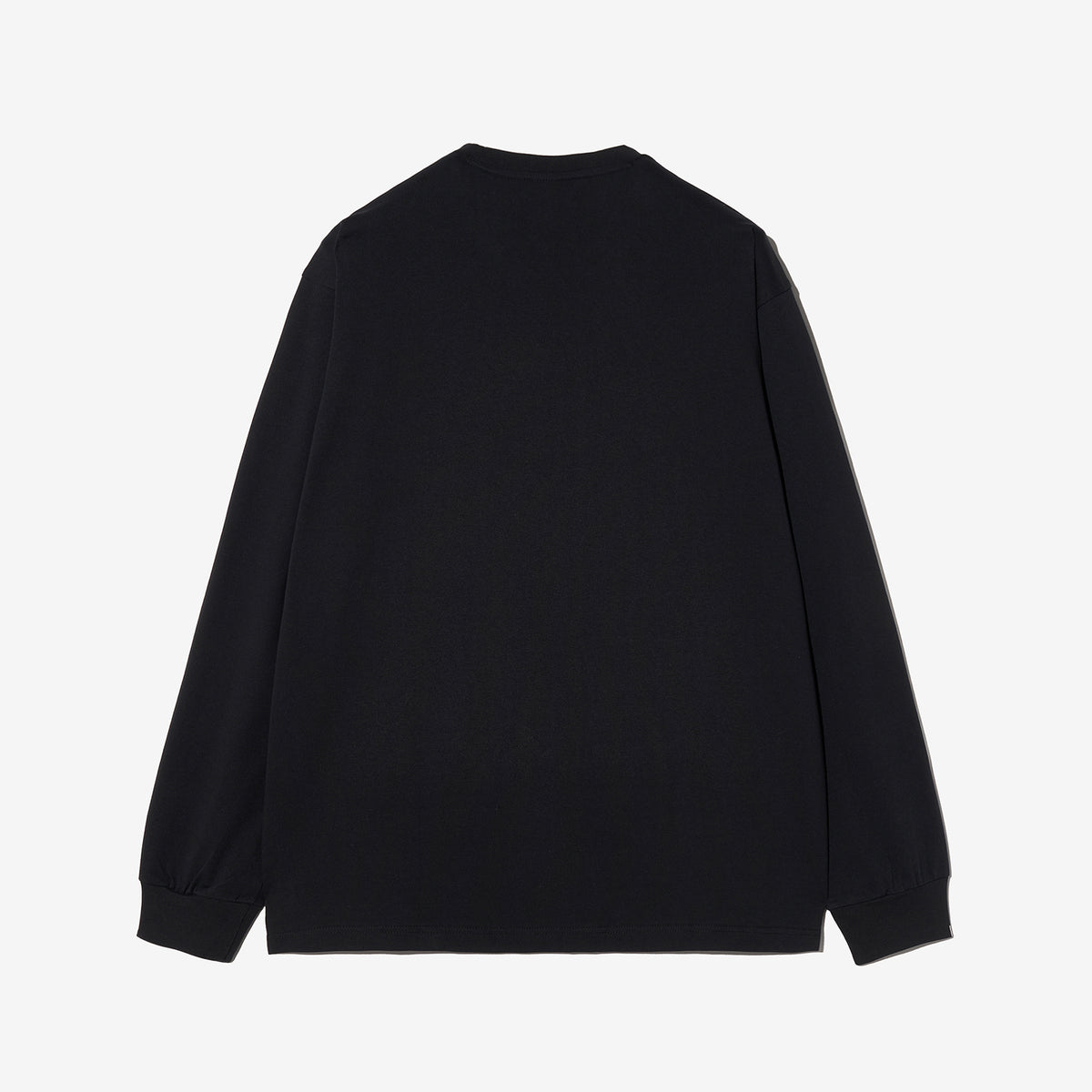 1100FS2RLH1101XBLK-02
