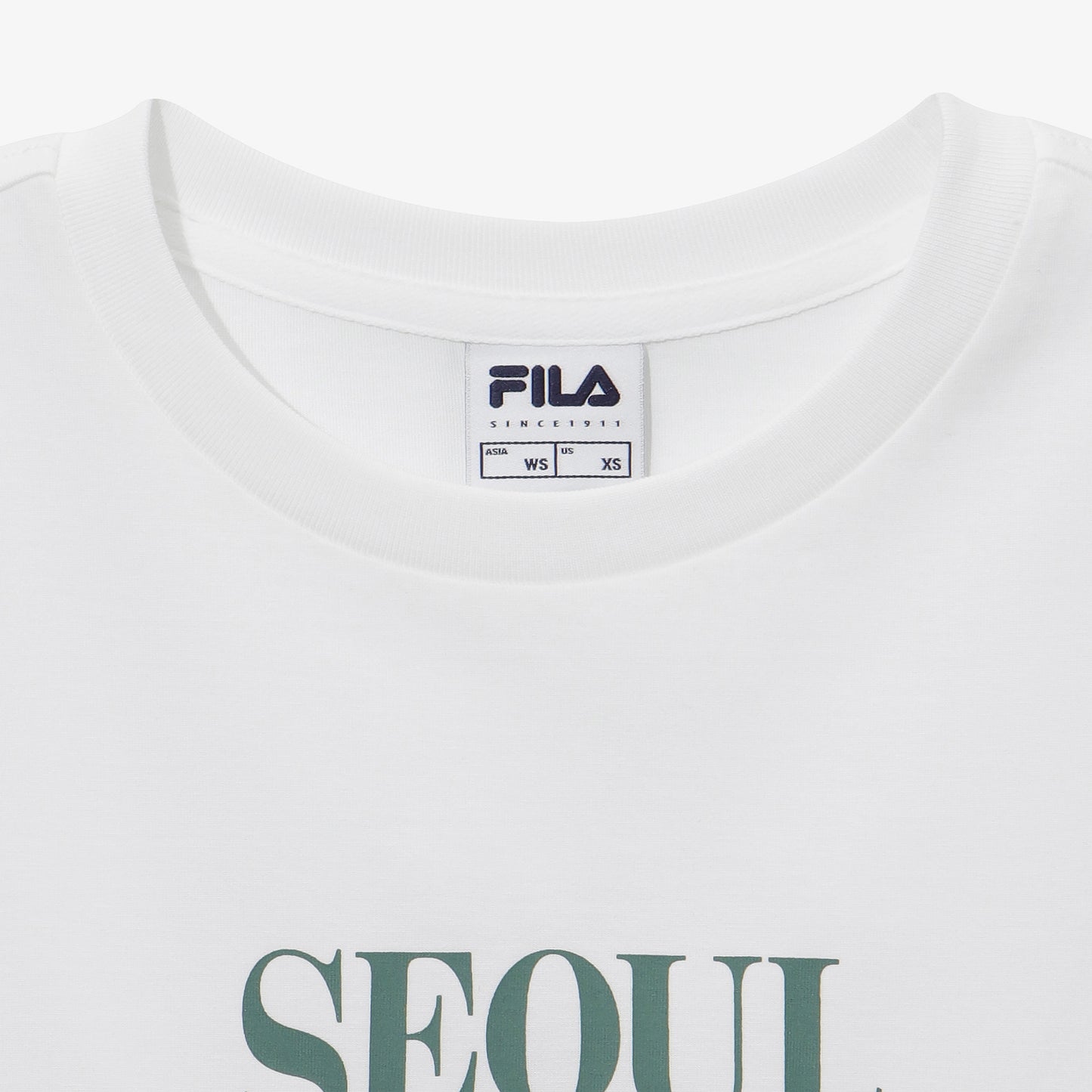 1100FS262RS01F027191-03