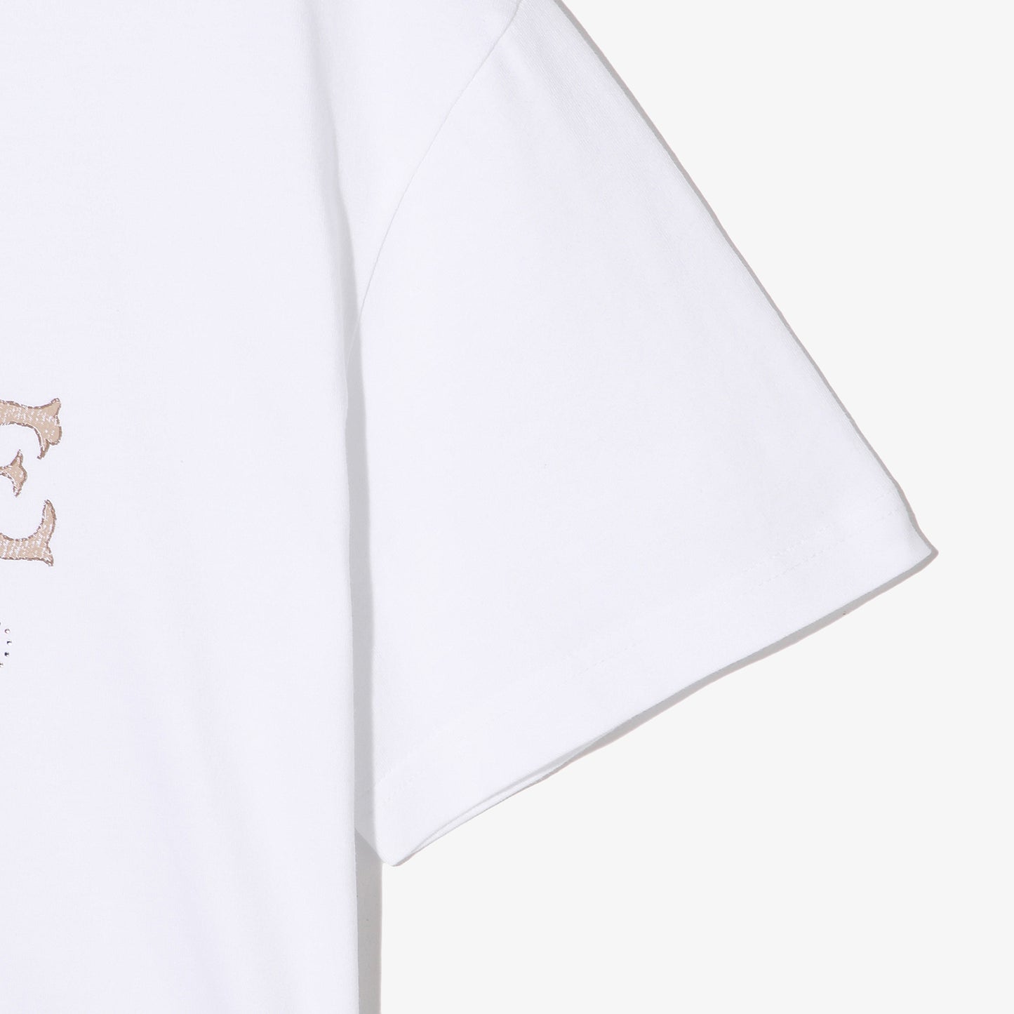 1100FS262RS01F021191-05