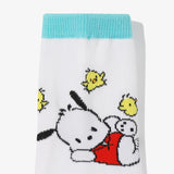 포차코 장목양말 - 04